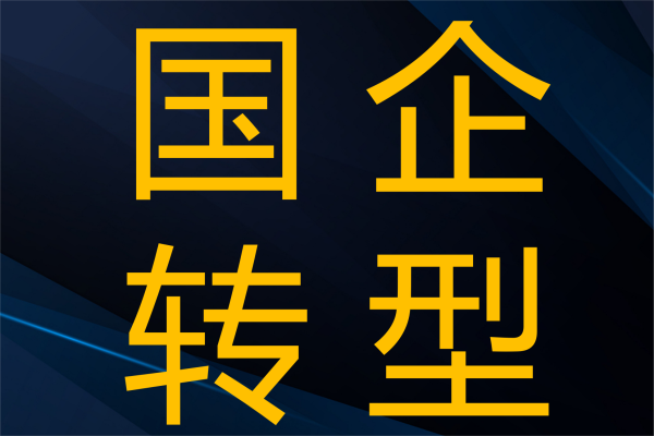 《新质生产力时代——国有企业市场化转型的路径与方法》