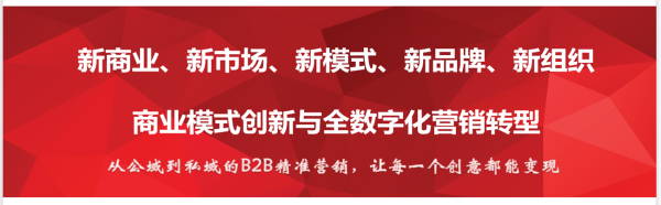 新增长:数字化营销与商业模式创新