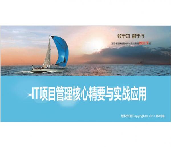 IT项目管理核心精要与实战应用