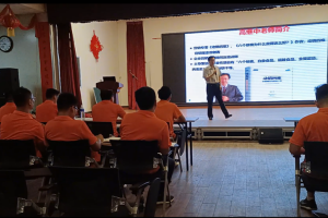 :《中国本土品牌系统化管理实战解密》