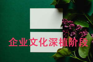 企业文化深植的五个阶段