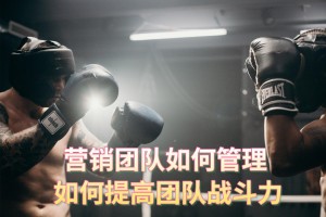 营销团队如何管理 如何提高团队战斗力