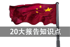20届人大代表主要内容，20大报告的知识点