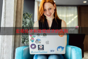 宏观经济和微观经济的区别