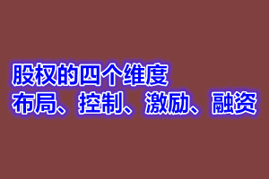 王永红讲师观点：股权的四个维度-布局、控制、激励、融资