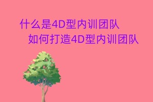 什么是4D型内训团队 如何打造4D型内训团队