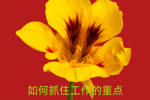 陈卫中老师：如何抓住工作的重点