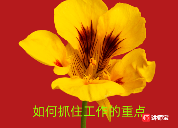 陈卫中老师:如何抓住工作的重点 陈卫中老师:如何抓住工作的重点